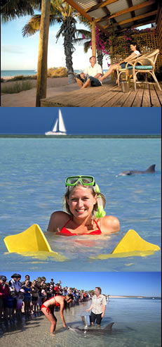 Monkey Mia Dolphin Resort - Broome Tourism 0