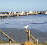 Seaview Motel and Holiday Units - Broome Tourism
