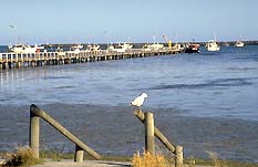 Seaview Motel And Holiday Units - Broome Tourism 0