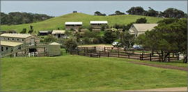 Cape Schanck VIC Broome Tourism