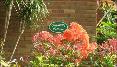 Lillypilly - Broome Tourism 0