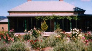 Old Wallinga Country - Broome Tourism 0