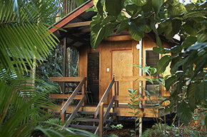 Cape Tribulation QLD Broome Tourism