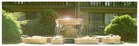 Best Western Tall Trees Motel - Broome Tourism 2