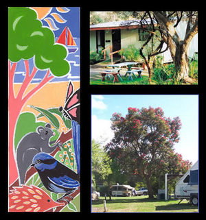 Bushland Cabins - Broome Tourism 0