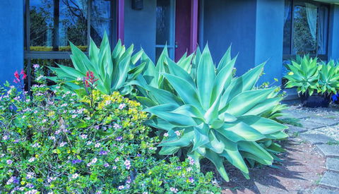 Possum Creek Lodge - Broome Tourism 2