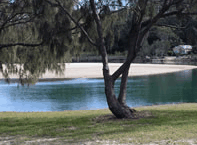 Ocean View Apartments - Broome Tourism 3