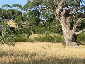 Springton SA Broome Tourism
