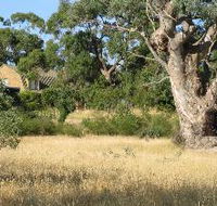 Wings Barossa Bird and Bush Retreat - Broome Tourism