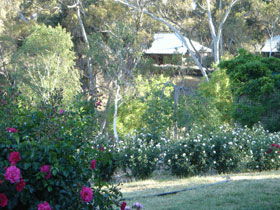 Watervale SA Broome Tourism