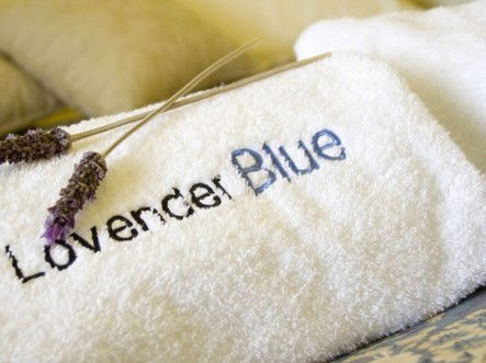 Lavender Blue Country Apartments - Broome Tourism 3