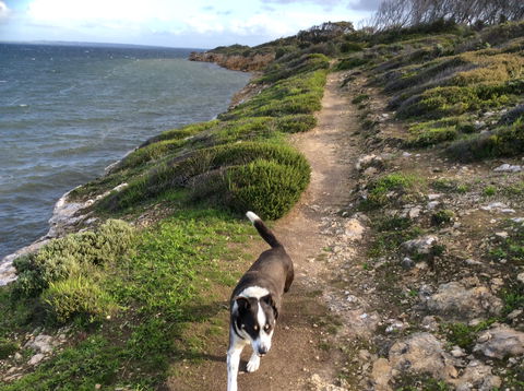 Morgans By The Sea - Broome Tourism 8