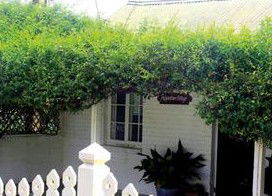 Peppertree Cottage Bed And Breakfast - Normanville - Broome Tourism 1