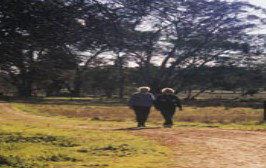 Tungali Cottage - Broome Tourism 2