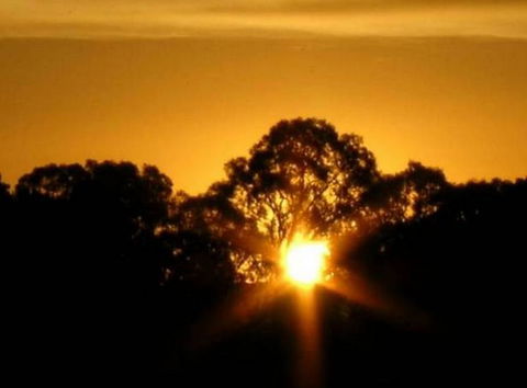 Linfield Cottage - Broome Tourism 1