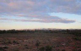 Wirrealpa Station - Broome Tourism 3