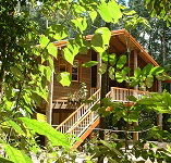 Rivers Edge Rainforest Retreat - Broome Tourism