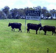 Cluan Homestead - The Managers Residence - Broome Tourism