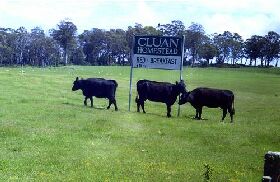 Cluan Homestead - The Managers Residence - Broome Tourism 0
