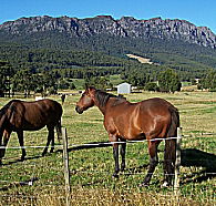 Hurlfield Farm Cottage - Broome Tourism