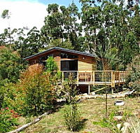 Southern Forest Accommodation - Broome Tourism
