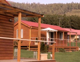 Maydena Country Cabins Accommodation & Alpaca Stud - Broome Tourism 0