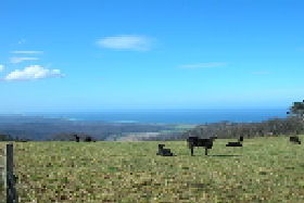 St Marys Seaview Farm - Broome Tourism 0