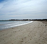 Greens Beach Caravan Park - Broome Tourism