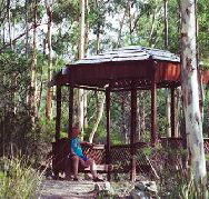 Telopea - Broome Tourism