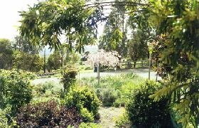 Cherry Park Estate - Broome Tourism 0