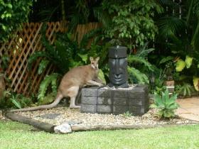 Bluewater Bed And Breakfast Cairns - Broome Tourism 0