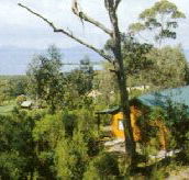 Partridge Farm - Broome Tourism