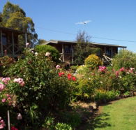 Mole Creek Holiday Village - Broome Tourism