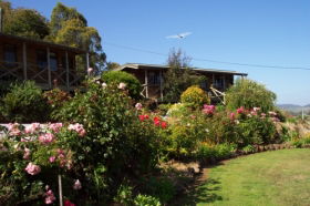 Mole Creek Holiday Village - Broome Tourism 0