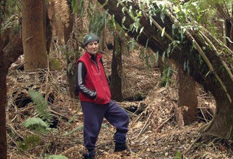 Forest Walks Lodge - Eco-Accommodation - Broome Tourism 3