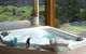 Shanleys Huon Valley - thumb 3