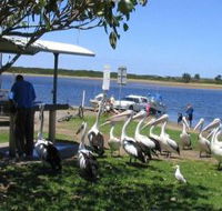 Mountain View Caravan and Mobile Home Village - Broome Tourism