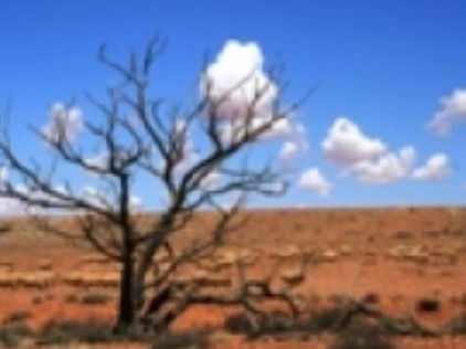 Theldarpa Stationstay - Broome Tourism 1