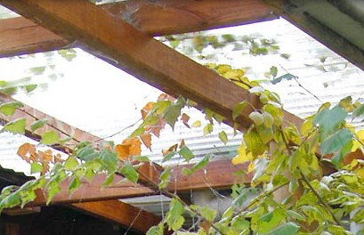 Cooma Bunkhouse Motel - Broome Tourism 2