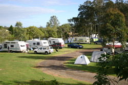 Dawson River Tourist Park - Broome Tourism 1