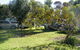 Kyalite Caravan Park - thumb 3