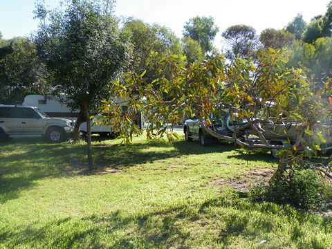 Kyalite Caravan Park - Broome Tourism 3