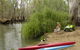 Gulpa Retreat Tourist Park - thumb 0