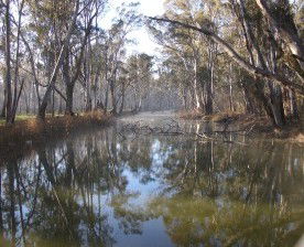 Gulpa Retreat Tourist Park - Broome Tourism 2