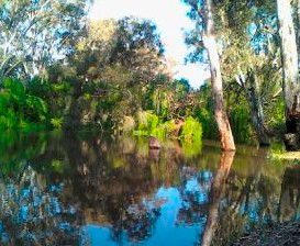 Wanganella Creek Camp Park - Broome Tourism 1