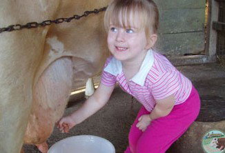 Ashmar Farm Stay - Broome Tourism 5