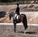 Apptrak Stud - Broome Tourism