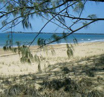 Seawinds Caravan Park - Broome Tourism 1