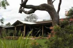 Mount Byron QLD Broome Tourism