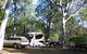 Myall Park Botanic Garden - thumb 0